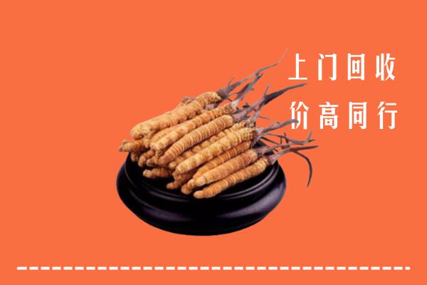 高价求购：北京大兴区回收散虫草