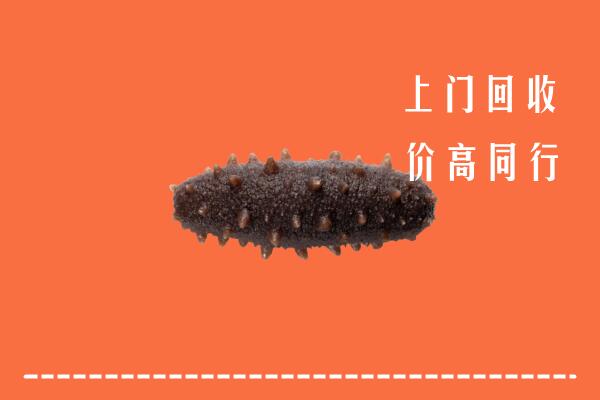 北京大兴区回收海参