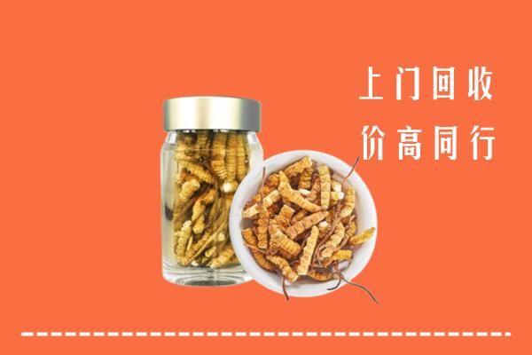 北京大兴区回收冬虫夏草